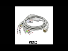 คอร์ด EKG คอร์ด EKG หลายฟังก์ชัน